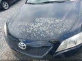 Photo 6 of 11 — 2007 Toyota Camry