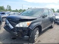 2009 Honda CR-V — photo 2 of 12 | VIN 5J6RE48559L020864
