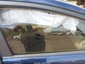 Photo 5 of 16 — 2015 Toyota Prius