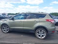 2014 Ford Escape — photo 14 of 16 | VIN 1FMCU9J91EUB11378