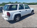 2004 Chevrolet Trailblazer — photo 4 of 11 | VIN 1GNDS13S742416580