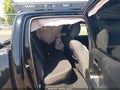 Photo 8 of 15 — 2017 Toyota Tacoma