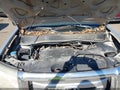 Photo 10 of 11 — 2009 Honda Pilot