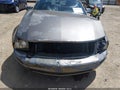 2005 Ford Mustang — photo 6 of 16 | VIN 1ZVFT80N455174575