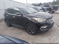 2017 Hyundai Santa Fe — photo 1 of 16 | VIN 5XYZWDLA8HG408527