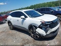 2025 Nissan Kicks — photo 1 of 17 | VIN 3N8AP6DA0SL435519