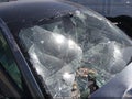 2025 Tesla Model 3 — photo 14 of 20 | VIN 5YJ3E1EAXSF005796