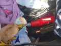 2005 Nissan Altima — photo 14 of 17 | VIN 1N4AL11D95C253641