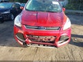 Photo 6 of 17 — 2016 Ford Escape
