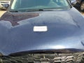 Photo 10 of 16 — 2019 Kia Sorento