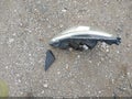 2017 Mitsubishi Mirage — photo 12 of 12 | VIN ML32A5HJ8HH002188