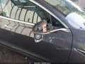 2018 Tesla Model 3 — photo 20 of 23 | VIN 5YJ3E1EA8JF077479