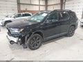 2025 Honda Pilot — photo 2 of 16 | VIN 5FNYG1H94SB166792