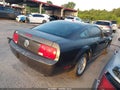2009 Ford Mustang — photo 4 of 11 | VIN 1ZVHT80N895144915