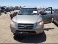 2009 Hyundai Santa Fe — photo 6 of 11 | VIN 5NMSG13D69H283218