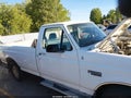 Photo 6 of 11 — 1995 Ford F-250