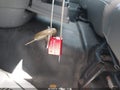 2008 Dodge Ram 1500 — photo 11 of 17 | VIN 1D7HA18KX8J206076