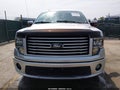 2011 Ford F-150 — photo 12 of 16 | VIN 1FTFW1E61BFA54385
