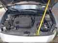 Photo 10 of 17 — 2017 Nissan Maxima