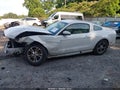 2014 Ford Mustang — photo 14 of 16 | VIN 1ZVBP8AM2E5292116