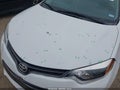 Photo 20 of 21 — 2015 Toyota Corolla