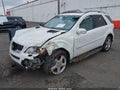 2007 Mercedes-Benz ML-Class — photo 2 of 12 | VIN 4JGBB86E47A292269