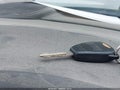 2007 Dodge Caravan — photo 11 of 11 | VIN 1D8GP45R17B119345