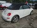 Photo 4 of 11 — 2007 Volkswagen Beetle
