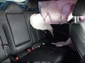 Photo 8 of 16 — 2026 Kia K5