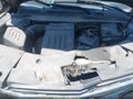 2017 Chevrolet Equinox — photo 10 of 17 | VIN 2GNALCEK1H6145212