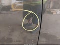 2018 Chevrolet Equinox — photo 19 of 19 | VIN 3GNAXSEV1JS541656