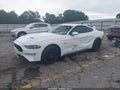 2019 Ford Mustang — photo 2 of 16 | VIN 1FA6P8CF7K5146847