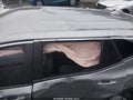 2024 GMC Terrain — photo 15 of 15 | VIN 3GKALMEG3RL318434