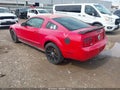 2005 Ford Mustang — photo 3 of 11 | VIN 1ZVFT80N655116628