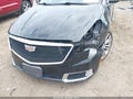 2019 Cadillac XTS — photo 6 of 17 | VIN 2G61M5S35K9110891