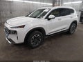 2021 Hyundai Santa Fe Hybrid — photo 2 of 18 | VIN KM8S2DA13MU010484