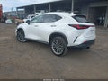 2025 Lexus NX 350h — photo 3 of 15 | VIN JTJGKCEZ5S5025223