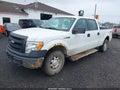 2013 Ford F-150 — photo 2 of 18 | VIN 1FTFW1EF4DKF06629