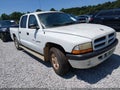 2001 Dodge Dakota — photo 1 of 10 | VIN 1B7HL2AX21S242196