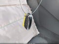 2018 Chevrolet Malibu Limited — photo 11 of 22 | VIN 1G1ZD5ST7JF165311