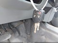Photo 11 of 15 — 2016 Ford F-350