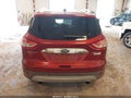 Photo 16 of 16 — 2016 Ford Escape
