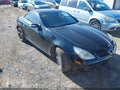 2006 Mercedes-Benz SLK-Class — photo 1 of 13 | VIN WDBWK54F96F121372