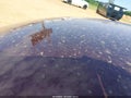 2021 Ford Escape — photo 17 of 17 | VIN 1FMCU9J96MUA06107