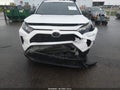 2019 Toyota RAV4 — photo 12 of 16 | VIN 2T3F1RFV2KW072217