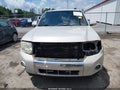Photo 13 of 17 — 2009 Ford Escape