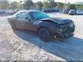 Photo 1 of 17 — 2009 Dodge Challenger