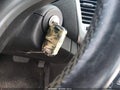 2014 Chevrolet Cruze — photo 11 of 11 | VIN 1G1PC5SB2E7242927