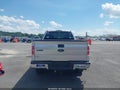 Photo 16 of 17 — 2010 Ford F-150