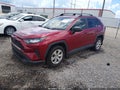 2020 Toyota RAV4 — photo 2 of 16 | VIN JTMH1RFV0LD044911
